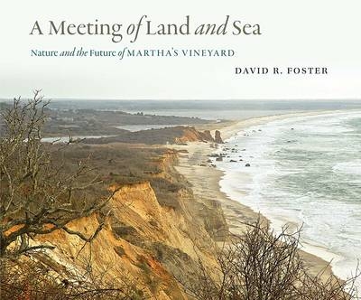 A Meeting of Land and Sea - David R. Foster