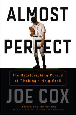 Almost Perfect - Joe Cox