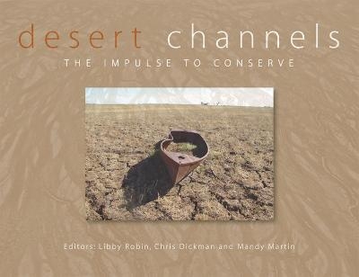 Desert Channels - 