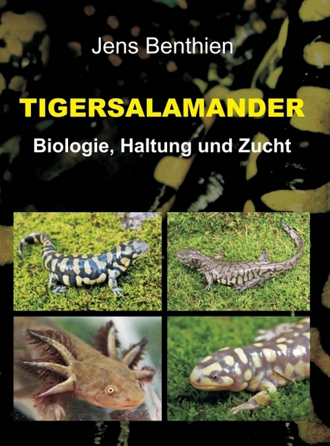 Tigersalamander - Jens Benthien