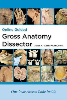 Gross Anatomy Dissector - Carlos A. Suarez-Quian