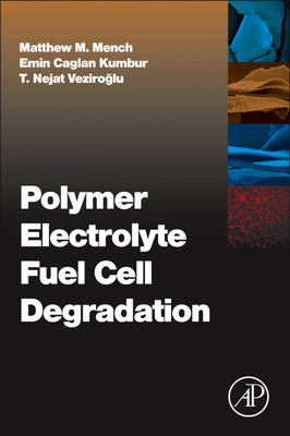 Polymer Electrolyte Fuel Cell Degradation - 