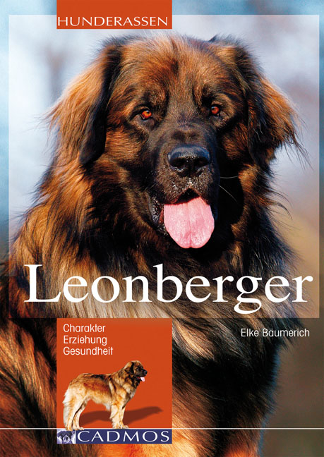 Leonberger - Elke Bäumerich