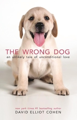 The Wrong Dog - David Elliot Cohen