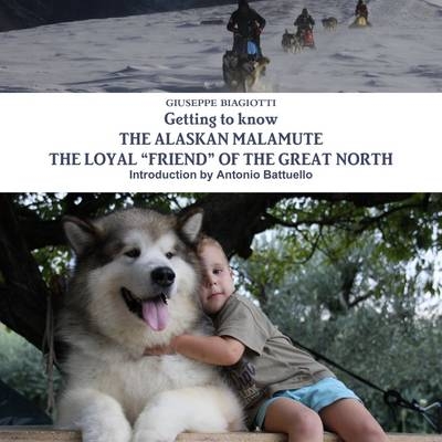 Getting to Know the Alaskan Malamute the Loyal "Friend" of the Great North - Giuseppe Biagiotti