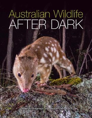Australian Wildlife After Dark - Bruce Thomson, Martyn Robinson