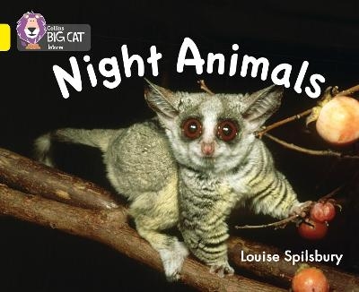 Night Animals - Louise Spilsbury