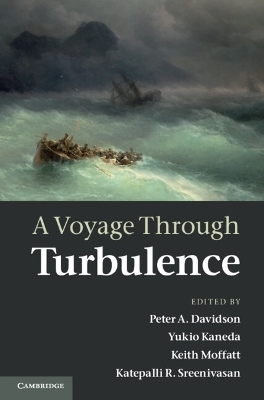 A Voyage Through Turbulence - 