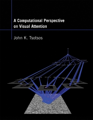 A Computational Perspective on Visual Attention - John K. Tsotsos