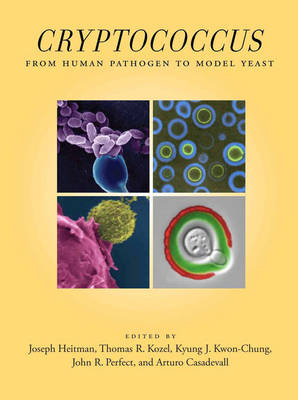 Cryptococcus - Joseph Heitman, Thomas R Kozel, Kyung J Kwon-Chung, John R Perfect