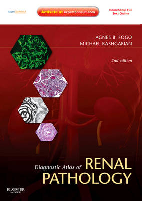 Diagnostic Atlas of Renal Pathology - Agnes B. Fogo, Michael Kashgarian