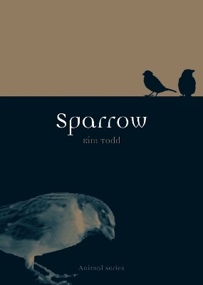 Sparrow - Kim Todd