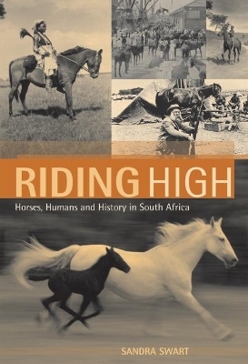 Riding High - Sandra Swart