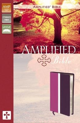 Amplified Bible, Imitation Leather, Pink/Purple -  Zondervan Publishing