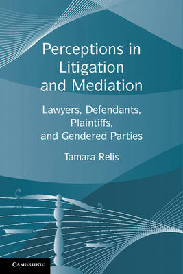 Perceptions in Litigation and Mediation - Tamara Relis