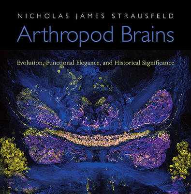 Arthropod Brains - Nicholas James Strausfeld