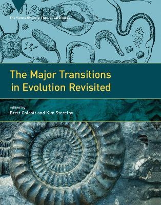 The Major Transitions in Evolution Revisited - 