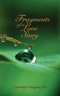 Fragments of a Love Story - Llewellyn Vaughan-Lee