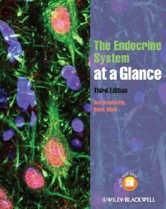 The Endocrine System at a Glance - Ben Greenstein, Diana F. Wood