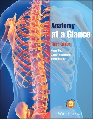Anatomy at a Glance - Omar Faiz, Simon Blackburn, David Moffat