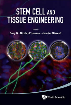 Stem Cell And Tissue Engineering - 