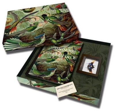 Wonders are Collectible: Taxidermy Deluxe Edition - Jeroen Lemaitre