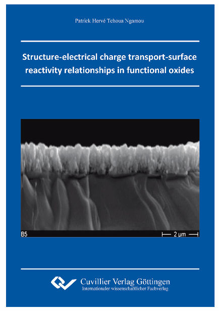 Structure-electrical charge transport-surface reactivity relationships in functional oxides - Patrick Hervé Tchoua Ngamou