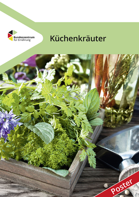 Küchenkräuter - Poster - Gabriele Kaufmann