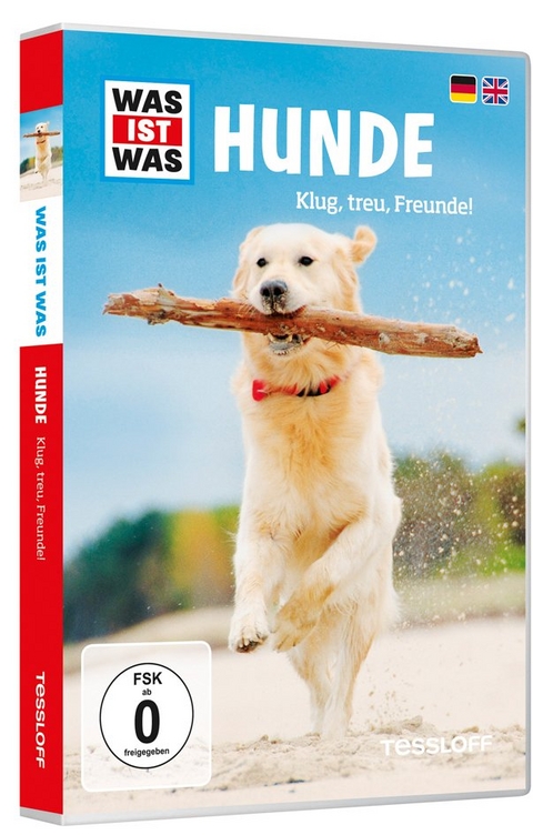 Hunde, 1 DVD