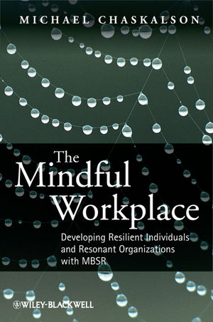 The Mindful Workplace - Michael Chaskalson