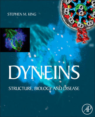 Dyneins - 