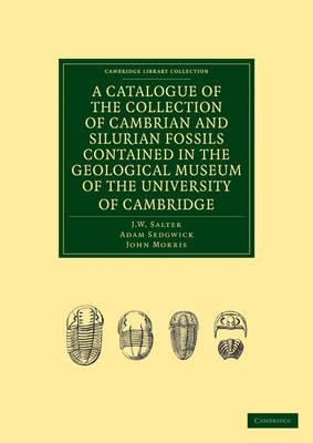 A Catalogue of the Collection of Cambrian and Silurian Fossils Contained in the Geological Museum of the University of Cambridge - J. W. Salter, Adam Sedgwick, John Morris