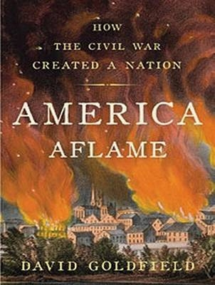 America Aflame - David Goldfield