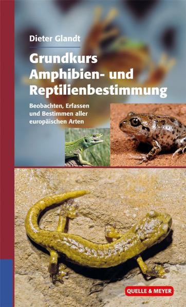 Grundkurs Amphibien- und Reptilienbestimmung - Dieter Glandt