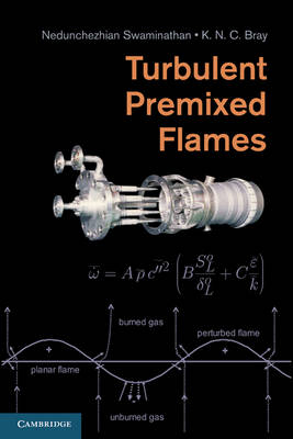 Turbulent Premixed Flames - 