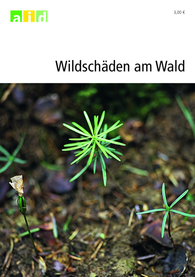 Wildschäden am Wald - Heiner Grub