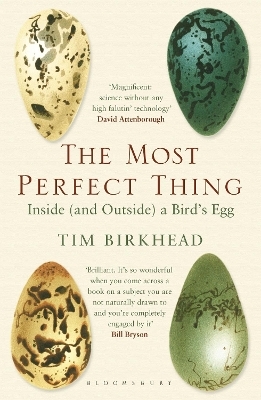 The Most Perfect Thing - Tim Birkhead