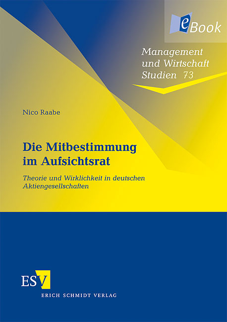 Die Mitbestimmung im Aufsichtsrat - Nico Raabe