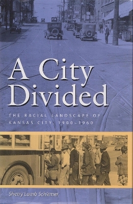 A City Divided - Sherry Lamb Schirmer