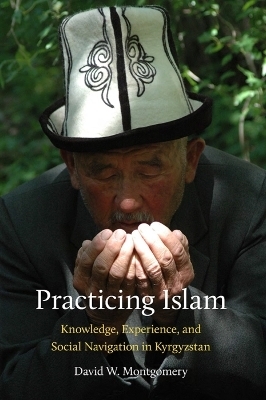 Practicing Islam - David Montgomery