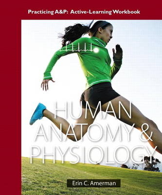 Practicing A&P Workbook for Human Anatomy & Physiology - Erin C. Amerman