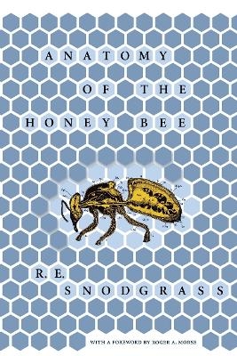 Anatomy of the Honey Bee - R. E. Snodgrass