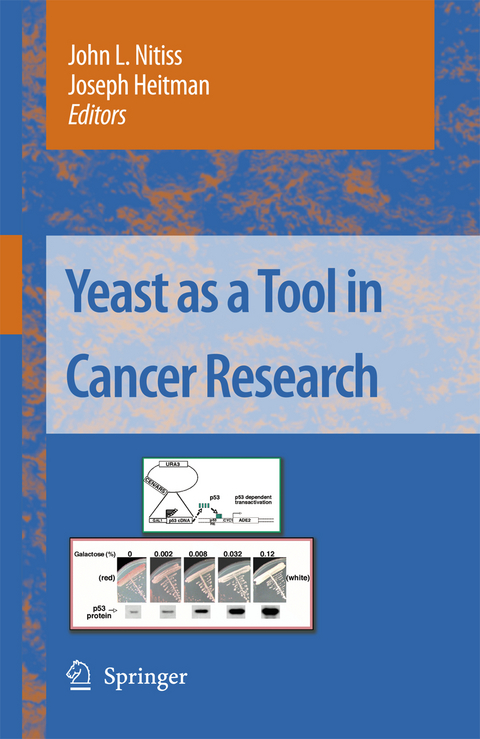 Yeast as a Tool in Cancer Research - 