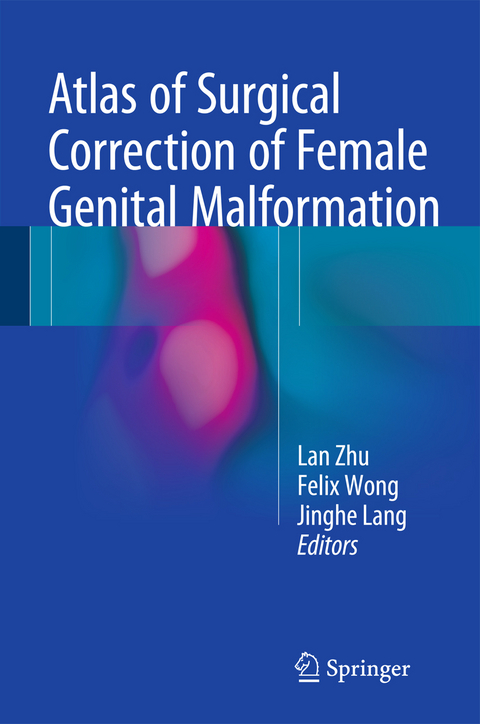 Atlas of Surgical Correction of Female Genital Malformation - 