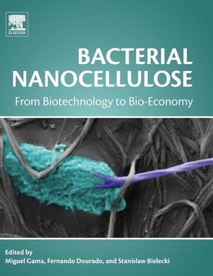 Bacterial Nanocellulose - 