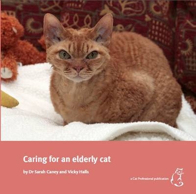 Caring for an Elderly Cat
