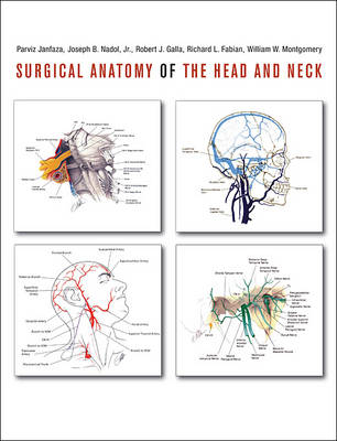 Surgical Anatomy of the Head and Neck - 