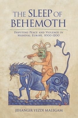 The Sleep of Behemoth - Jehangir Malegam