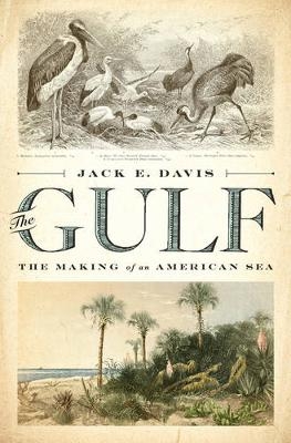 The Gulf - Jack E. Davis