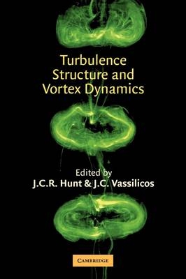 Turbulence Structure and Vortex Dynamics - 